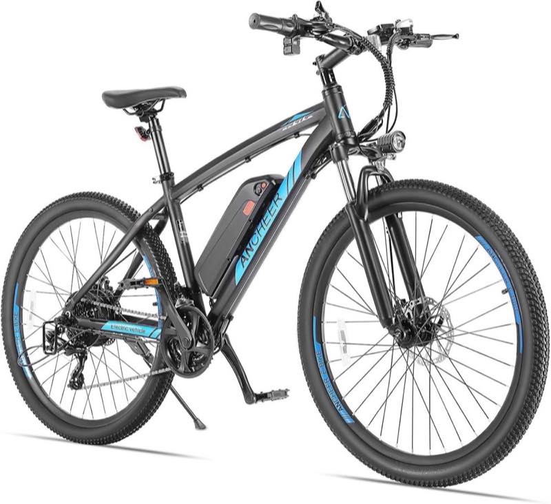 Herren-E-Bike Produktbild – Testsieger