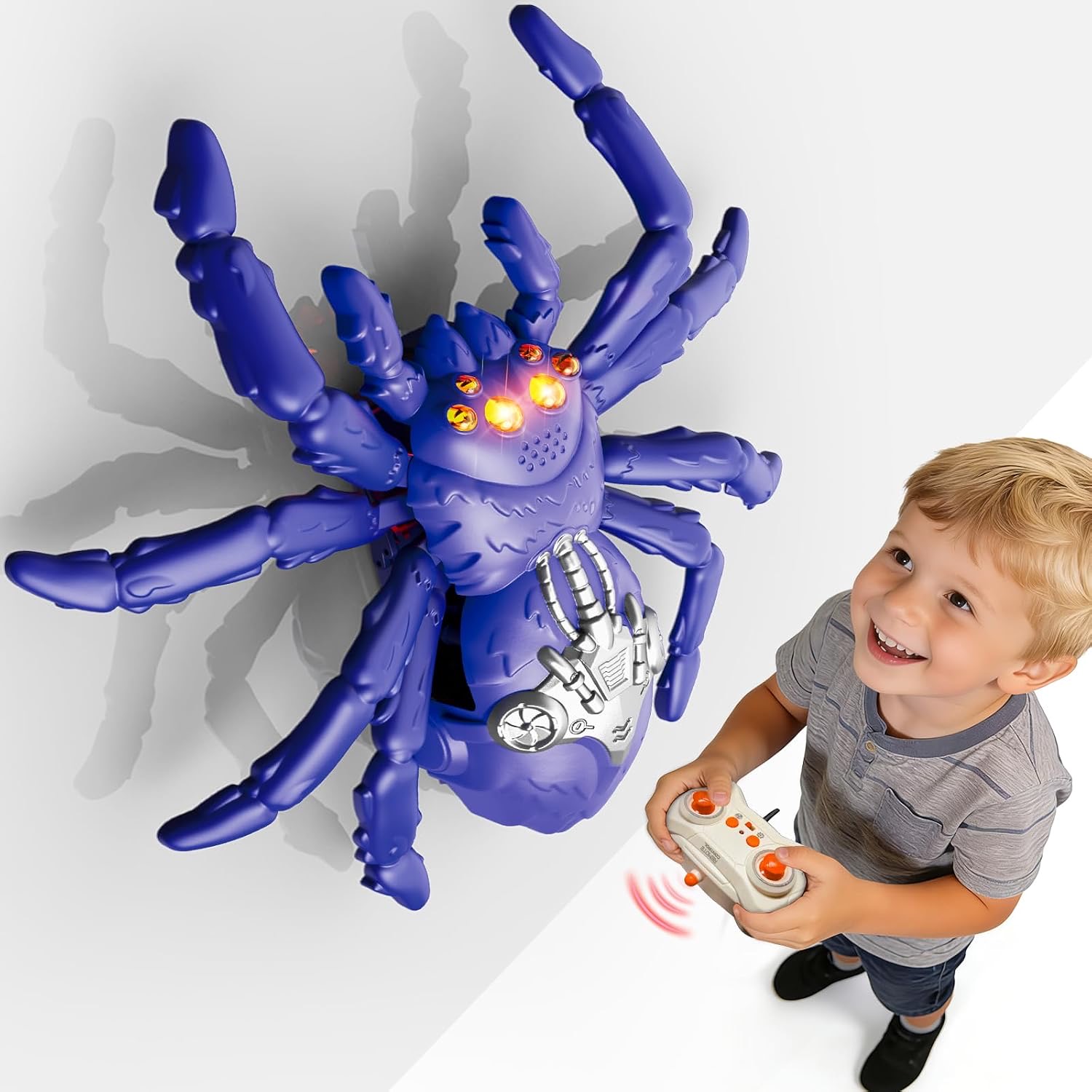 Cooldele Wandkletter-Spinne