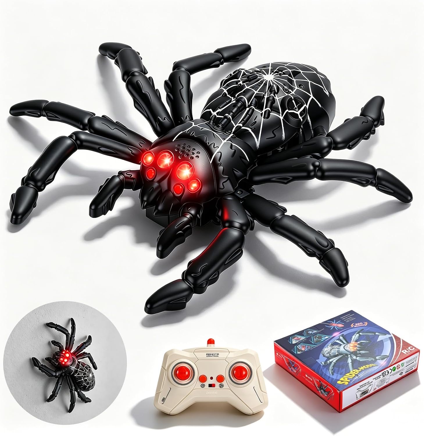 Eirolace Wandkletterspinne