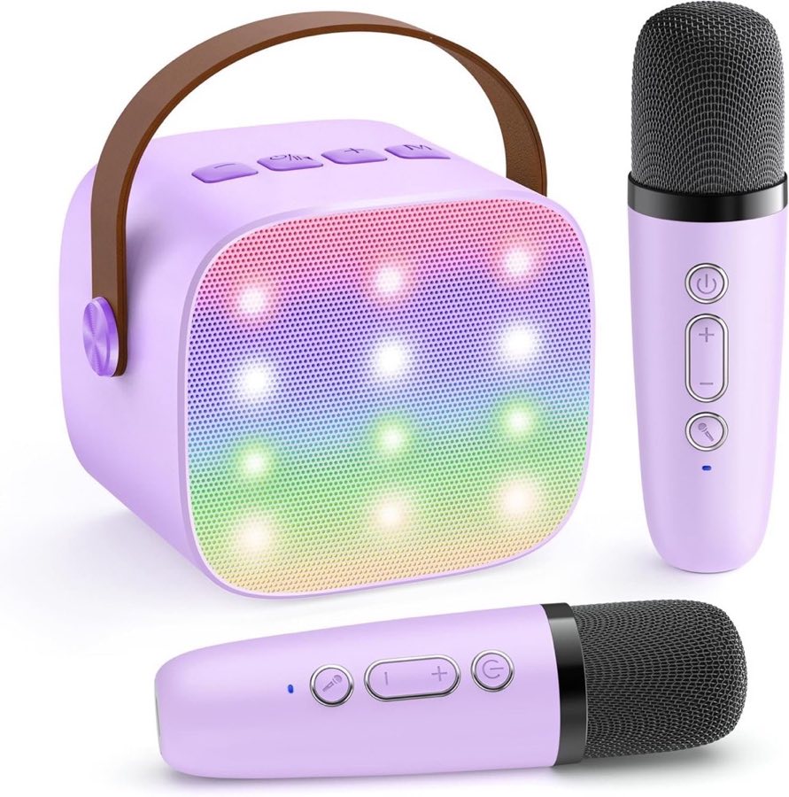 YLL K1-L Mini-Karaoke mit 2 Mikrofonen