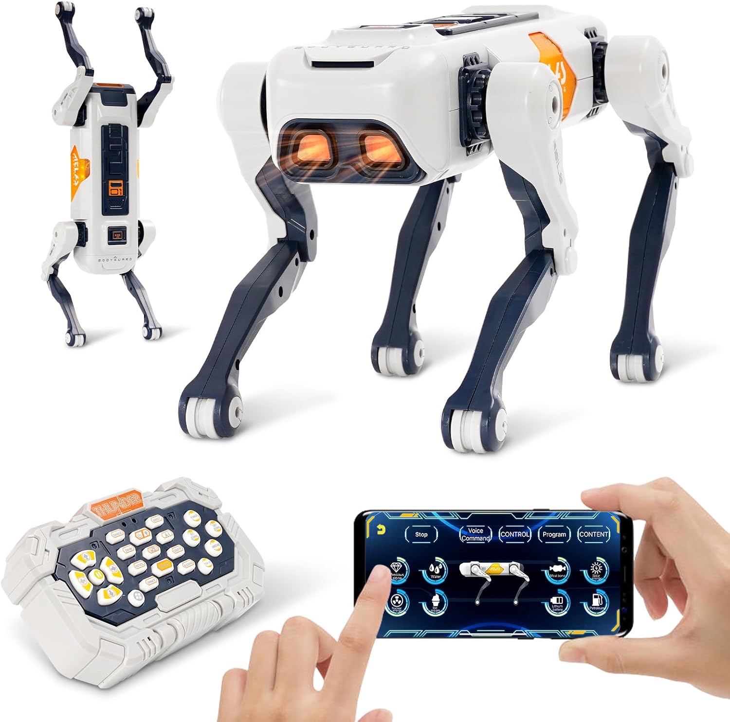 EULEUY 2444A