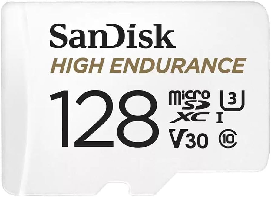 SanDisk SanDisk High Endurance 128 GB