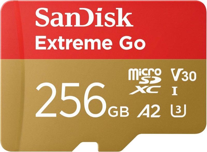 SanDisk Extreme Go 256 GB