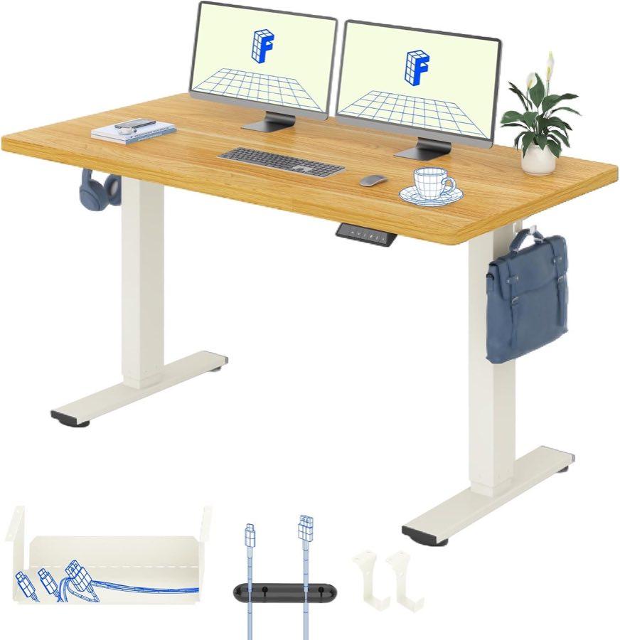 FLEXISPOT Flexispot Basic 160 × 80 cm