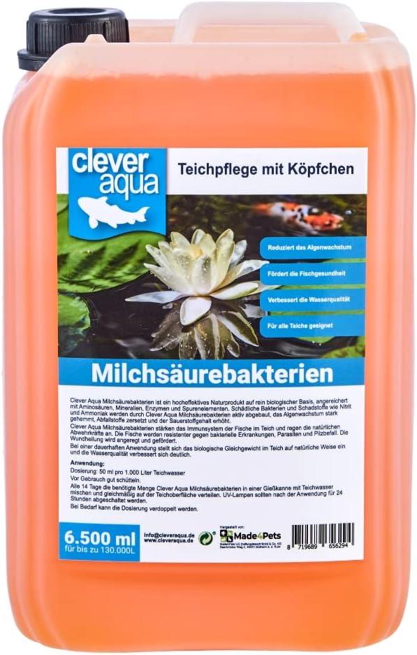 Clever Aqua Milchsäure 6,5 l