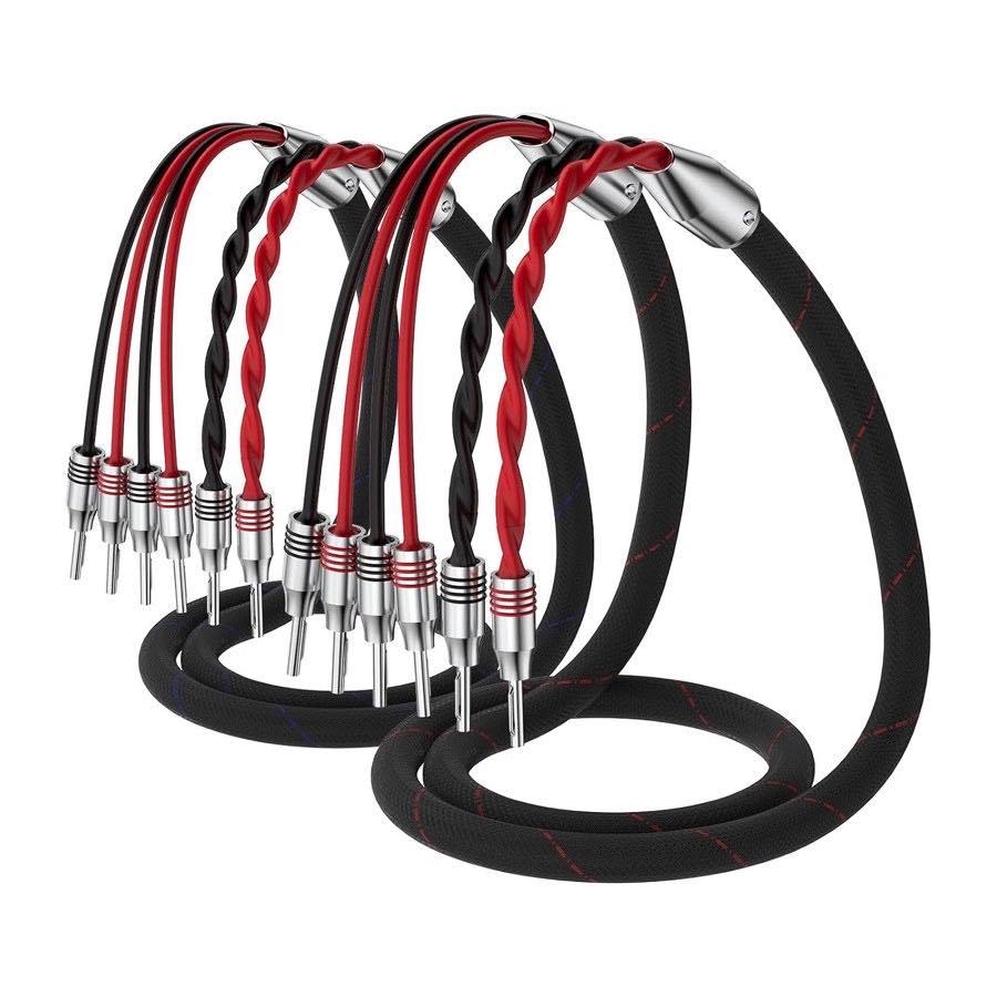 Tirstrup Bi-Wire-Kabel, 2,5 m
