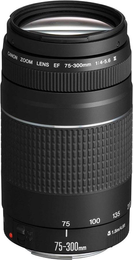 Canon EF 75-300mm F4.0-5.6 III