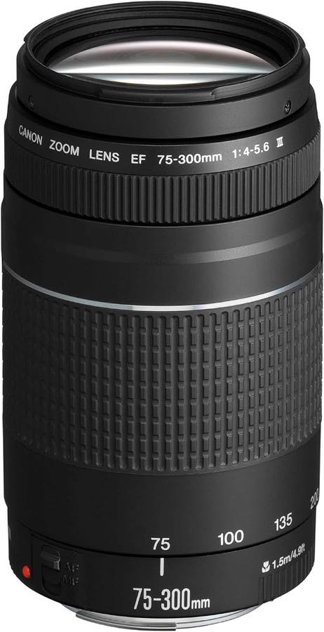 Canon EF 75-300mm f/4-5.6 III