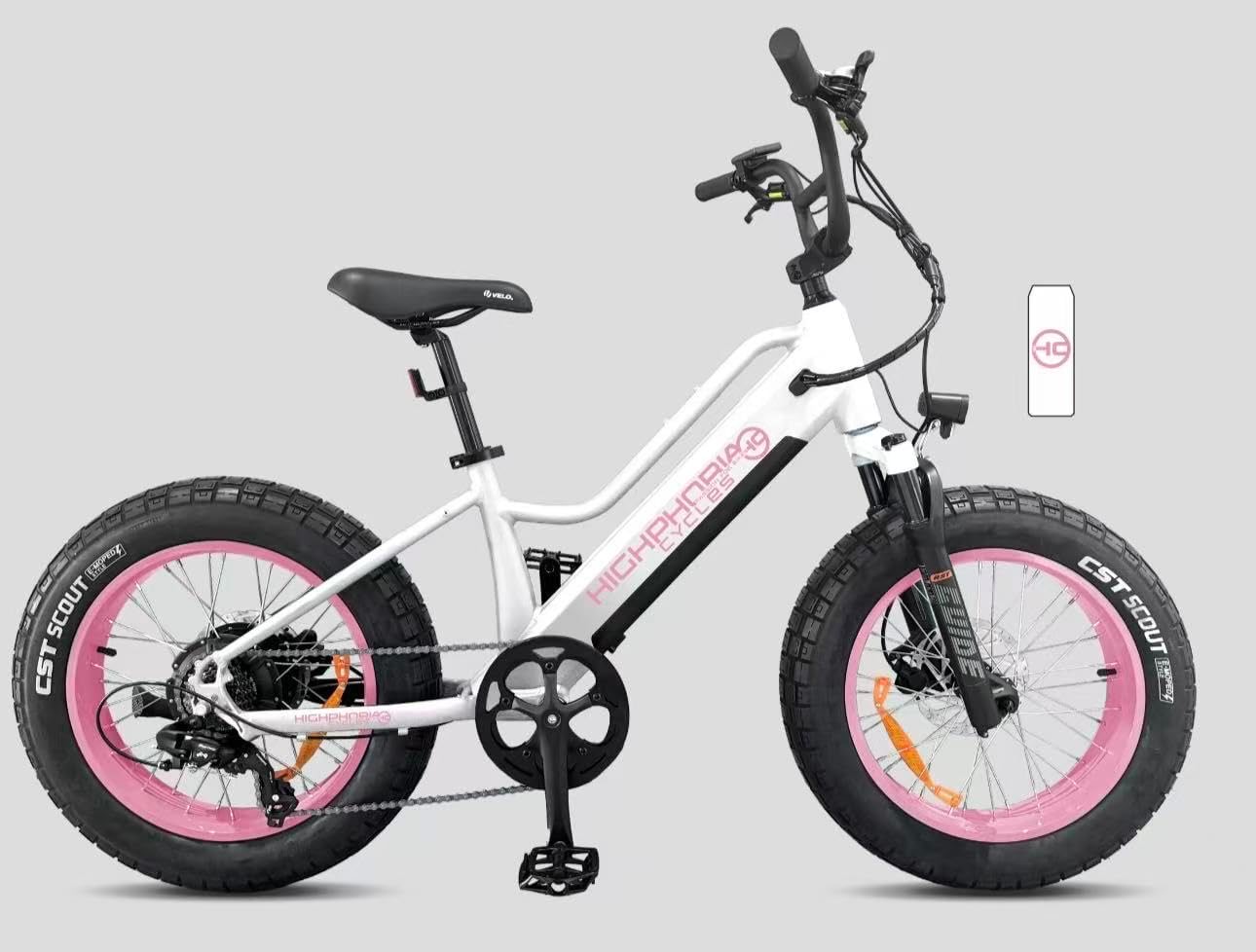 Highphoria Elektrofahrrad Kinder 20 Zoll, Fat Tire E-Bike für Kids, 25 km/h 100km E-Mountainbike Elektro Fahrrad mit 48V 250W Motor, 7-Gänge Pedelec