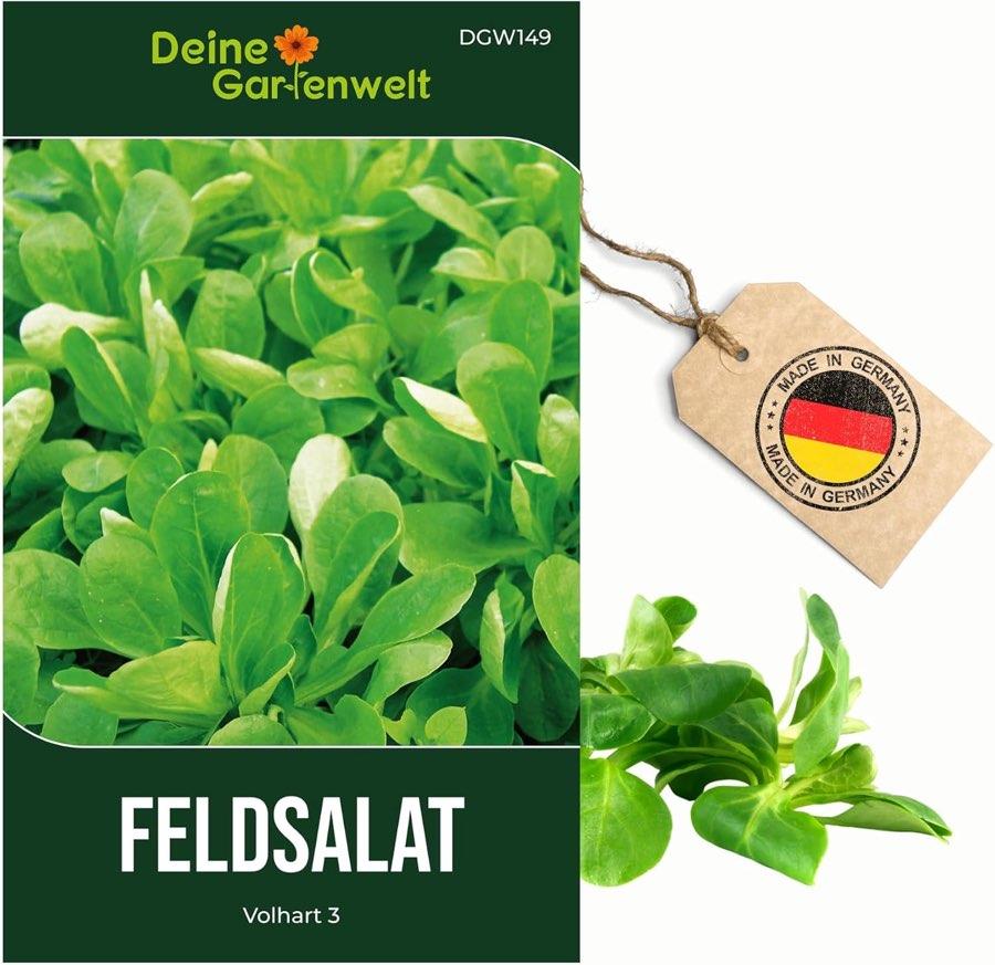 Deine Gartenwelt Feldsalat Volhart 3