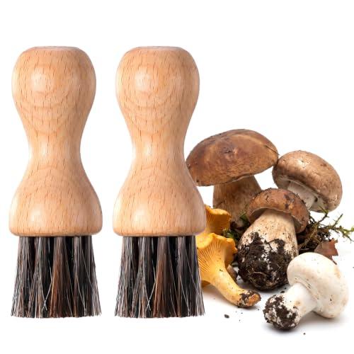 TIESOME 2er Pilzbürste Buche/Rosshaar
