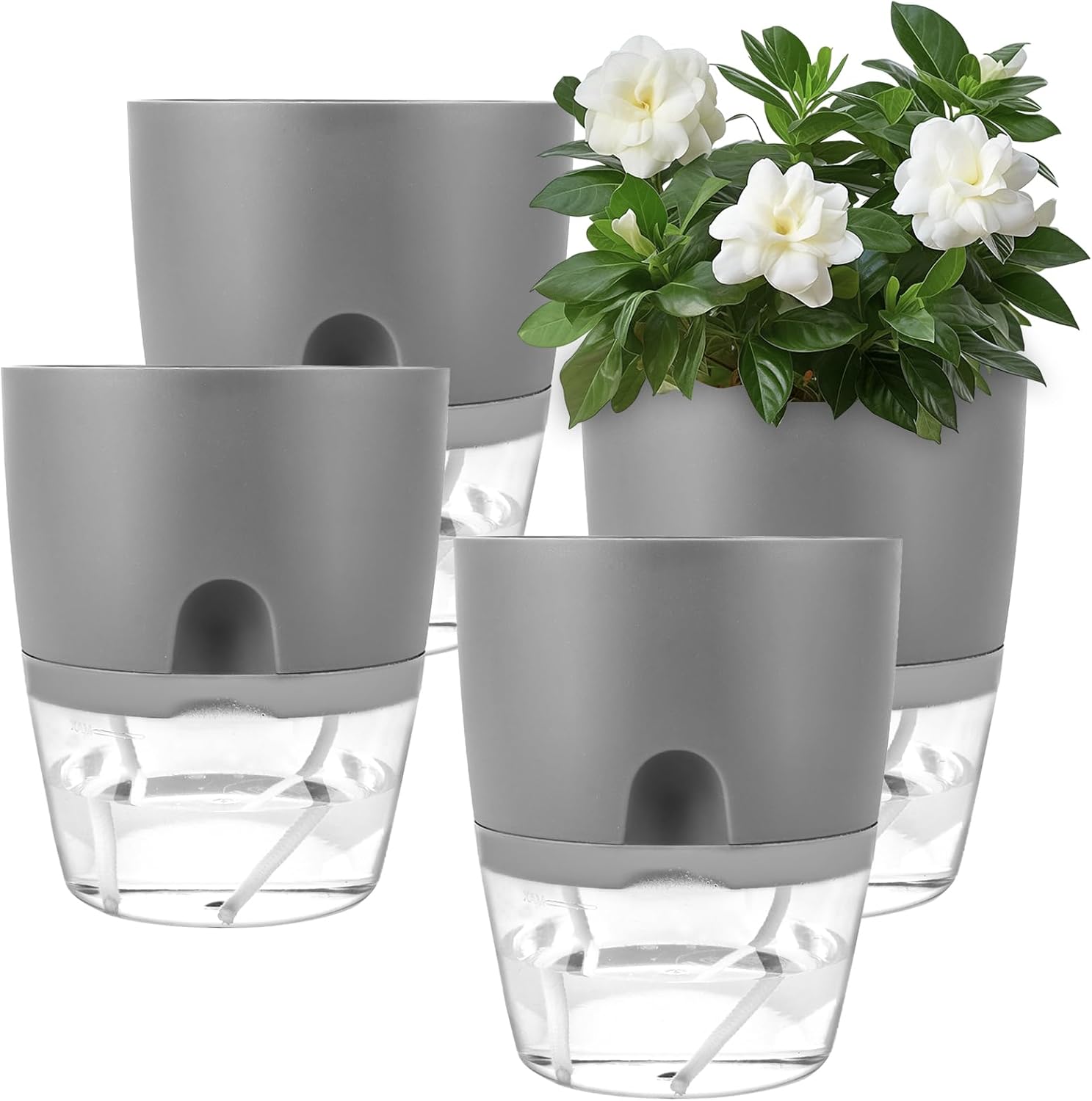 APACALI Selbstbewässerungstopf 4er Set