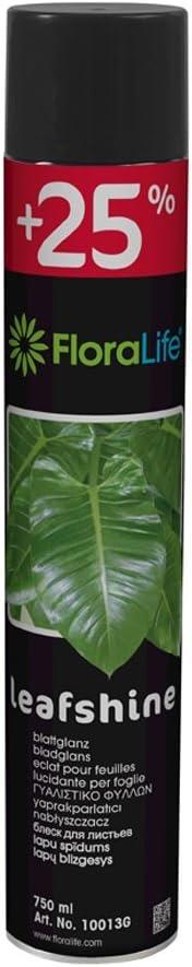 FLORALIFE Blattglanz 750 ml (Oasis)