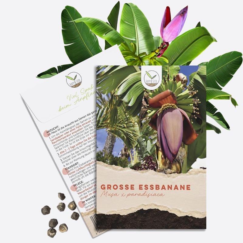 HappySeed Große Essbanane (Musa × paradisiaca)
