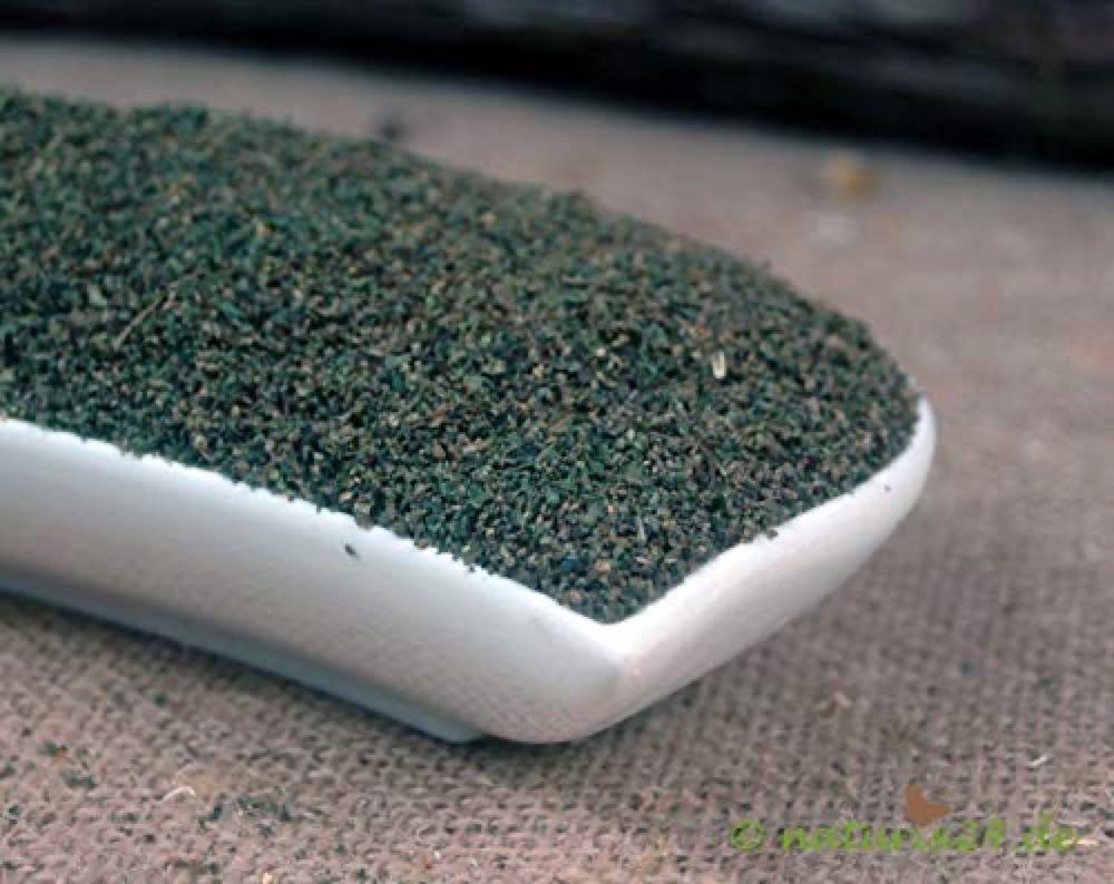 Naturix24 Brennnesselsamen ganz 1 kg