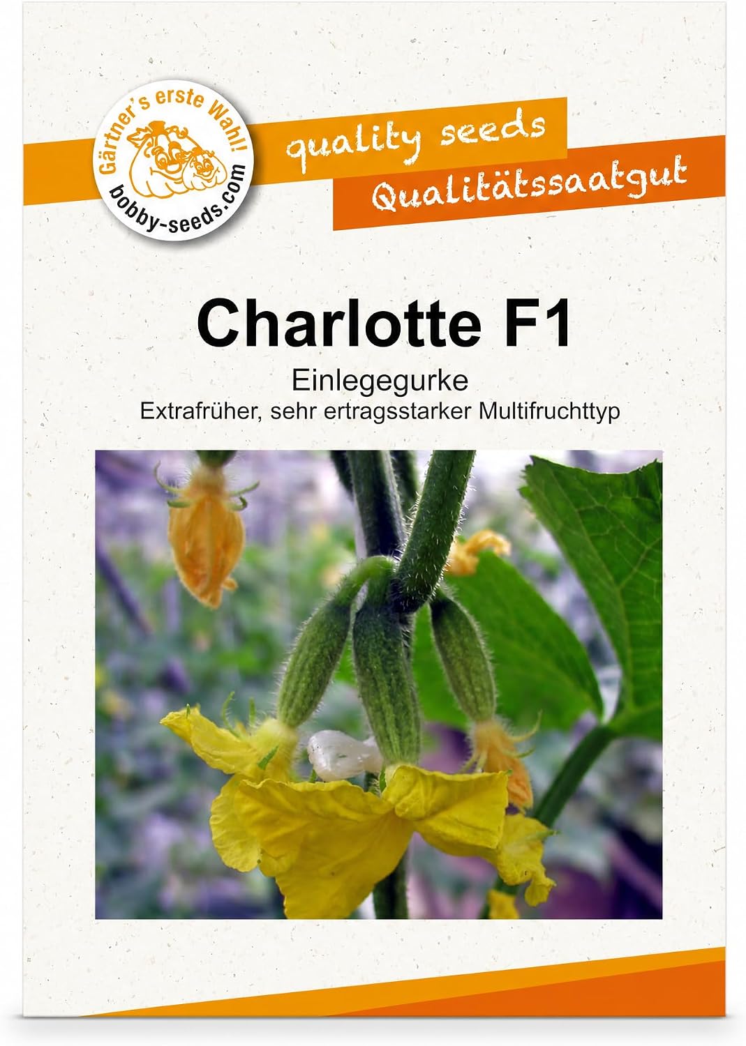 Bobby-Seeds Charlotte F1 Einlegegurke (40 Korn) – Testsieger im Gurken-Samen-Vergleich