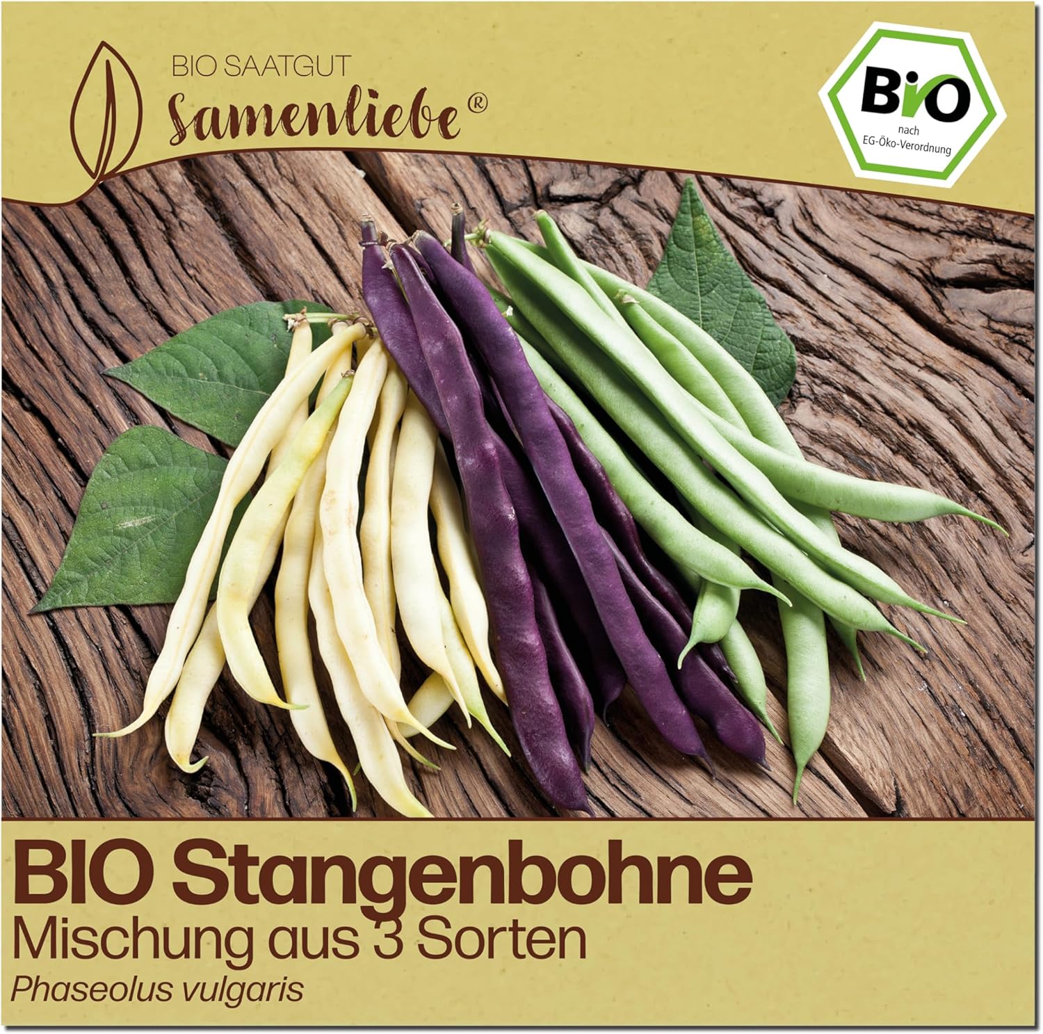 Samenliebe BIO Stangenbohnen Mix (30 Samen) – Testsieger im Stangenbohnen-Samen-Vergleich