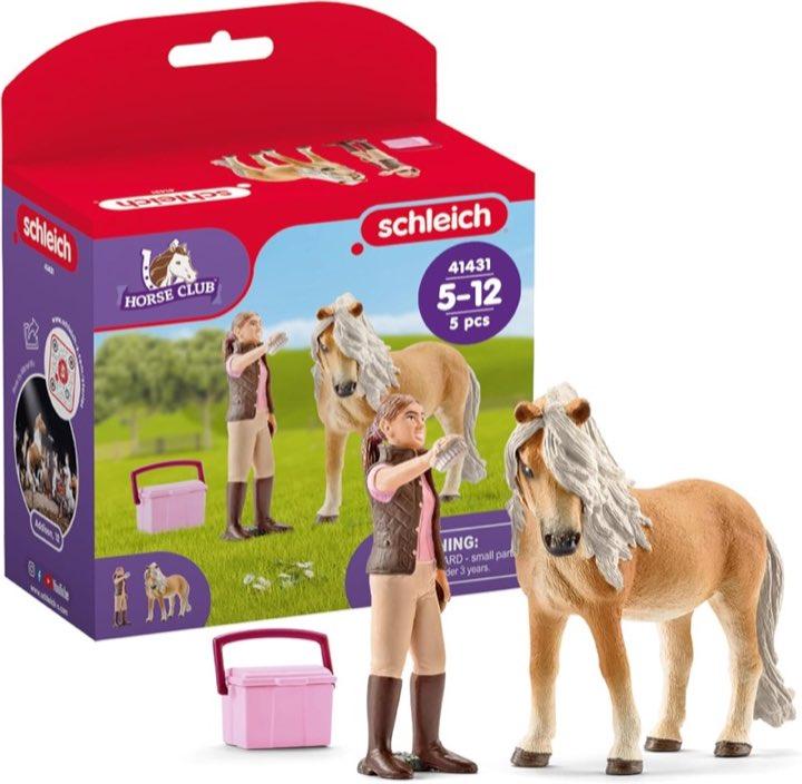 Pferdepflegerin mit Island-Pony 41431