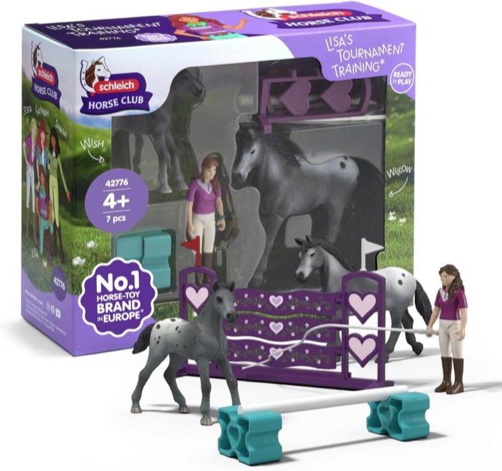 Lisa's Turnier-Training 42776