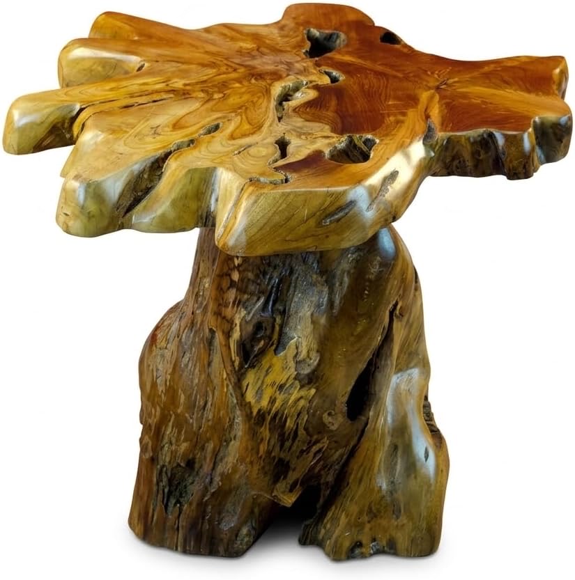 Kinaree ALOR Setar 50–55 cm