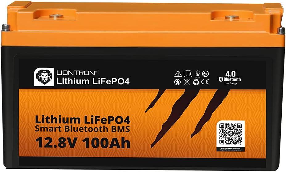 LIONTRON LISMART12100LX 100Ah