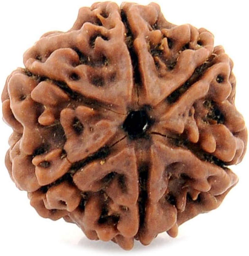 CaratYogi lose Rudraksha, Mukhi 1 bis 13 wählbar