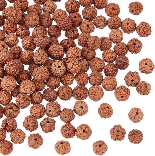 DICOSMETIC 150 lose Rudraksha-Perlen, etwa 6 mm