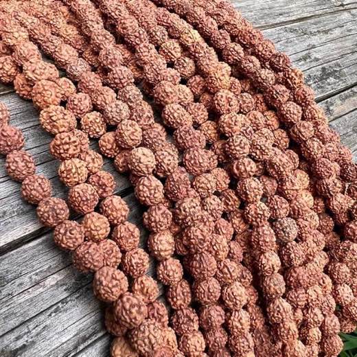 Hormoz Rudraksha-Perlenstrang, 109 × 6 mm, 5 Mukhi