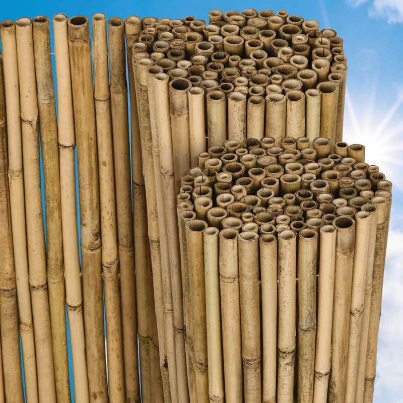 Bambuszäune – Testsieger Sol Royal B38 180×250 cm