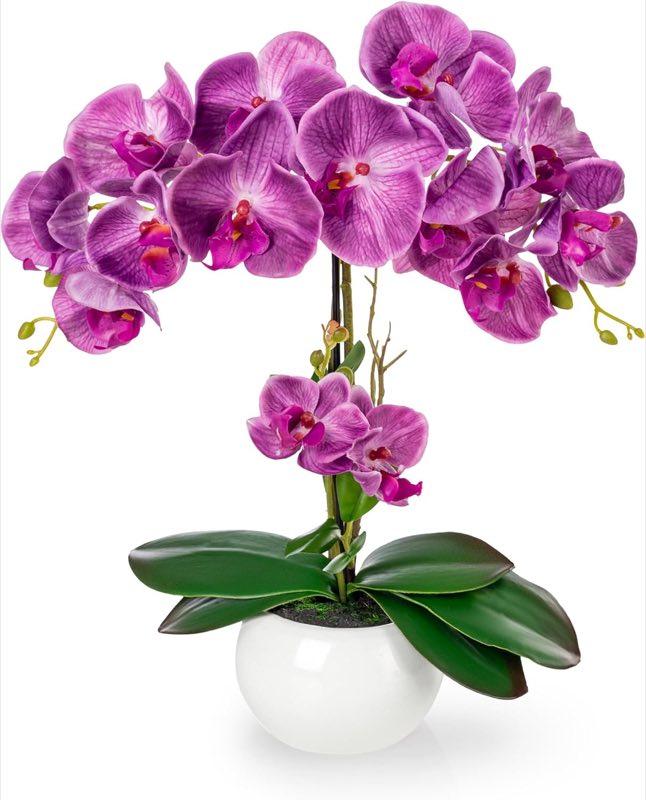 Künstliche Orchideen Vergleich 2026